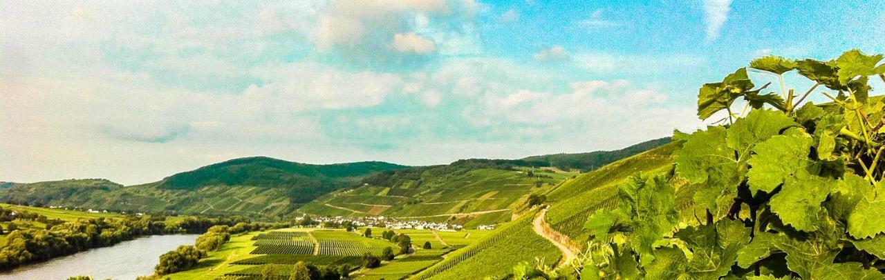 Gaestehaus Weingut Meierer Kesten Exterior foto